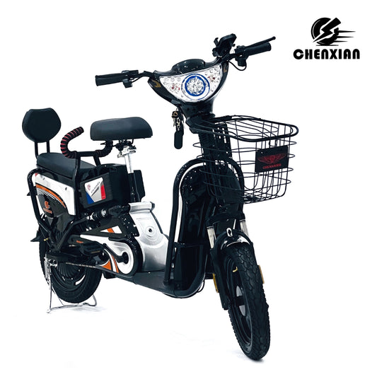 Electric Bike 350W motor power with 48V12A Battery