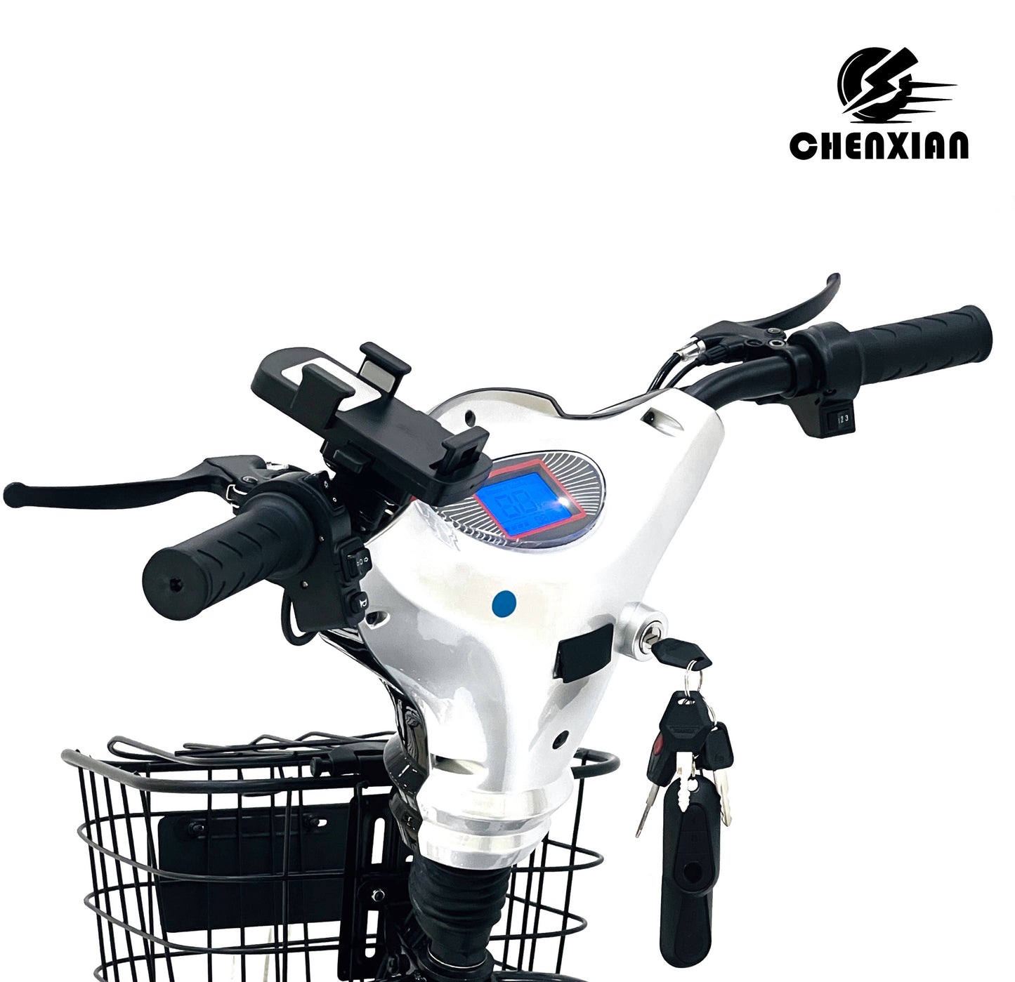 Electric Bike 350W motor power with 48V12A Battery